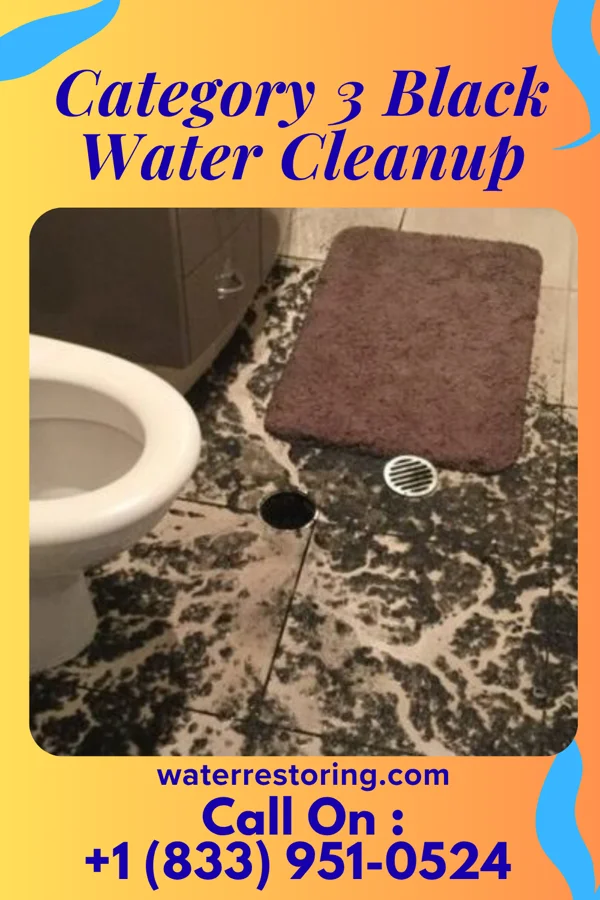 Category 3 Black Water Cleanup in Jackson Center, PA