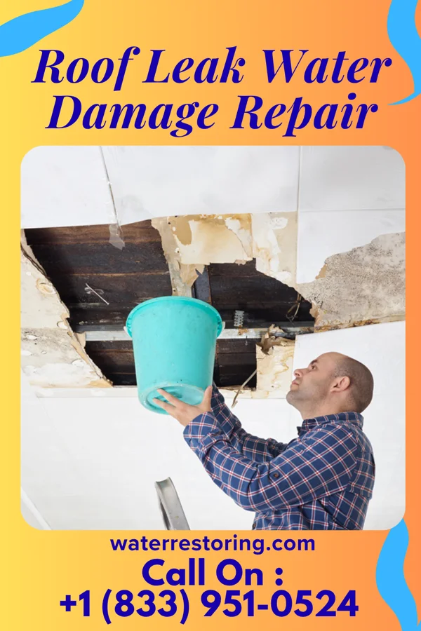 Roof Leak Water Damage Repair in Jackson Center, PA