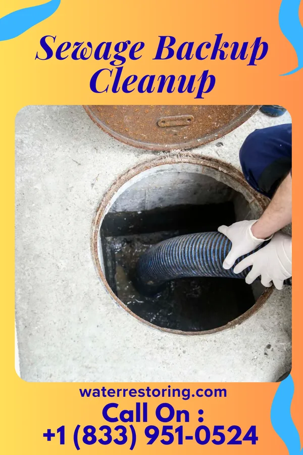 Sewage Backup Cleanup in Jackson Center, PA