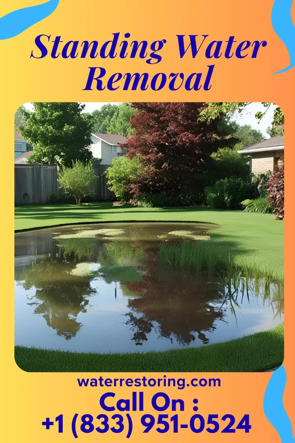 Standing Water Removal in Jackson Center, PA